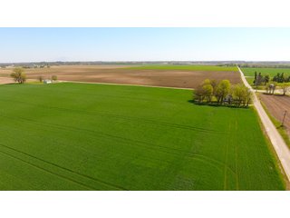 Property photo 19 - LAND AUCTION - 492+/- ACRES OFFERED IN 7 TRACTS IN SULLIVAN & KNOX COUNTIES, INDIANA